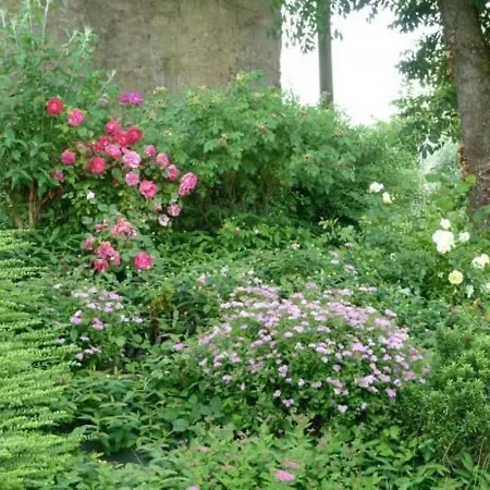 펜션 Maison De Charme En Pierres, 5 Chambres, Jardin Clos, Terrasse, Calme, Ping-pong, Proche Loisirs. - Fr-1-410-150 Saint-Remy-de-Sille