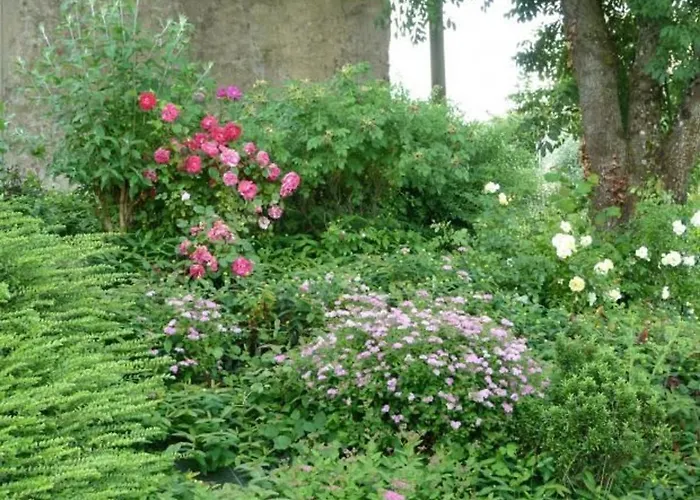 بيت للعطل Maison De Charme En Pierres, 5 Chambres, Jardin Clos, Terrasse, Calme, Ping-pong, Proche Loisirs. - Fr-1-410-150 Saint-Remy-de-Sille